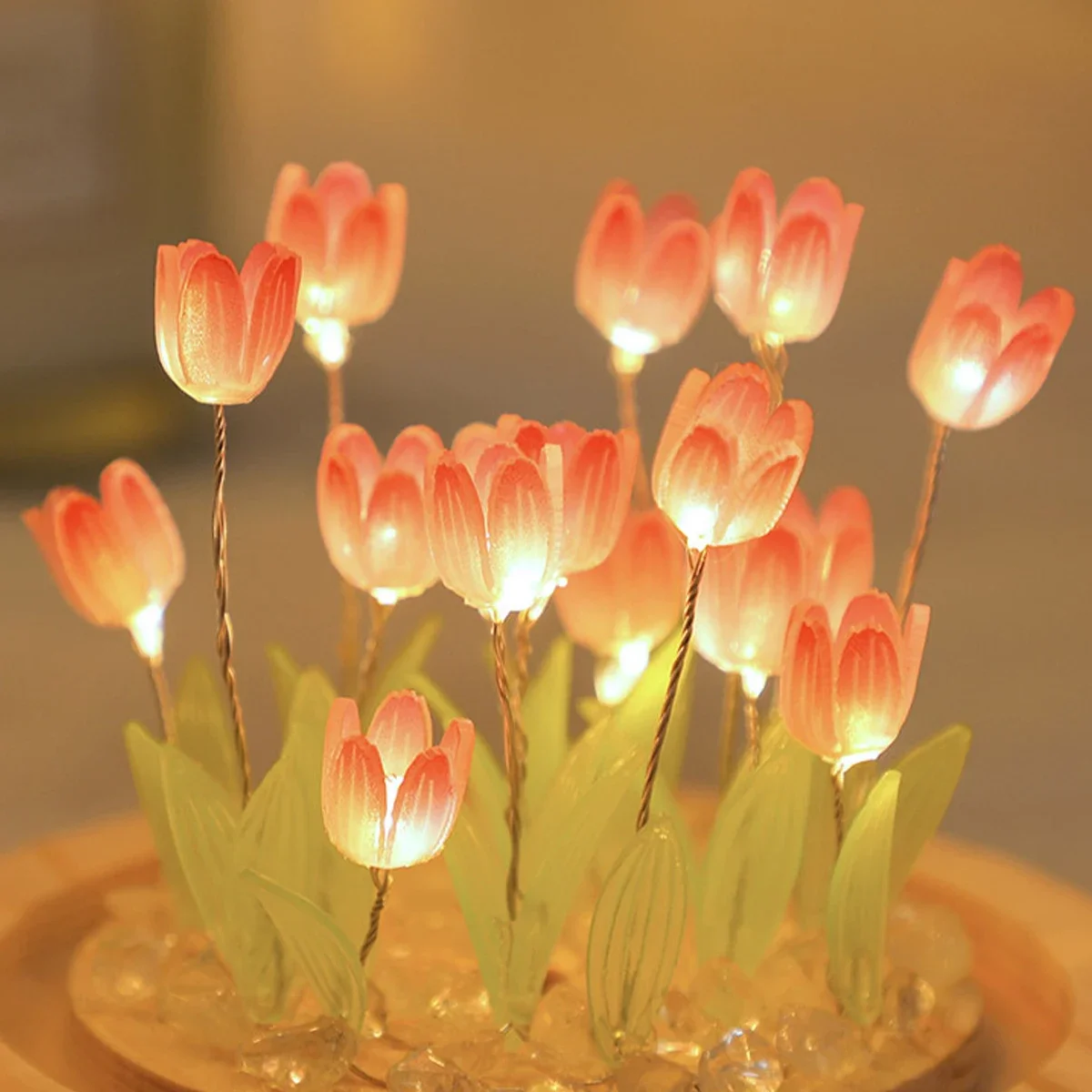 DIY Handmade Mini Tulip Night  - огляд і ціна Kids Outdoor Movie Night