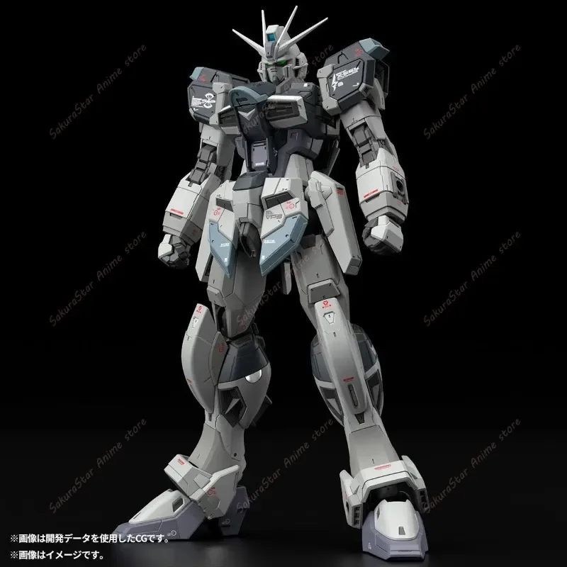 【In stock】Bandai PB Limited RG - огляд і ціна Bandai Model Gundam Rg